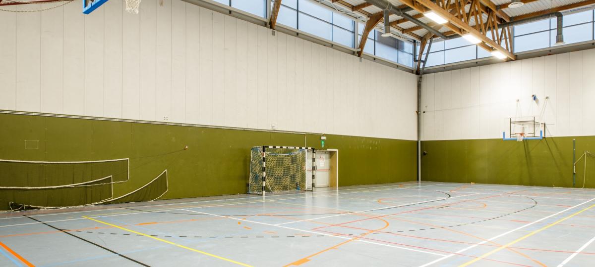 Odisee