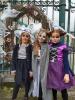 Amaryllis, Lilya en Yousra