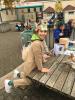 Tentoonstelling herfstdieren eekhoorn